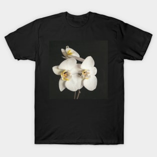 Black and White Orchid II T-Shirt